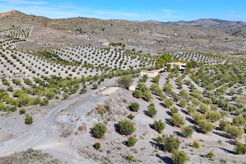 Landejendom i Puerto Lumbreras, Murcia - foto 3